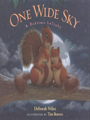 cover image of One Wide Sky